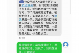 广汉为什么选择专业追讨公司来处理您的债务纠纷？